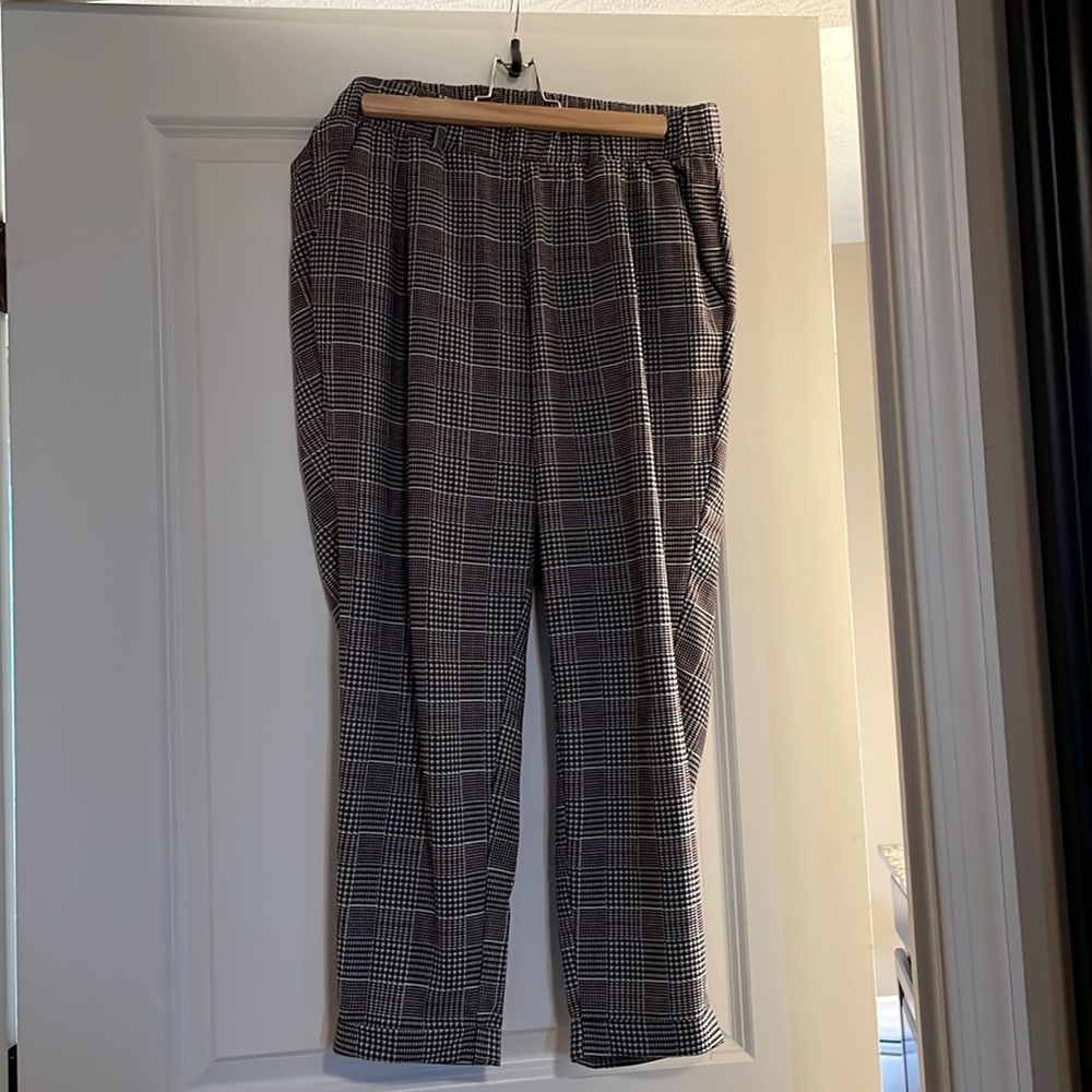Torrid trouser pants